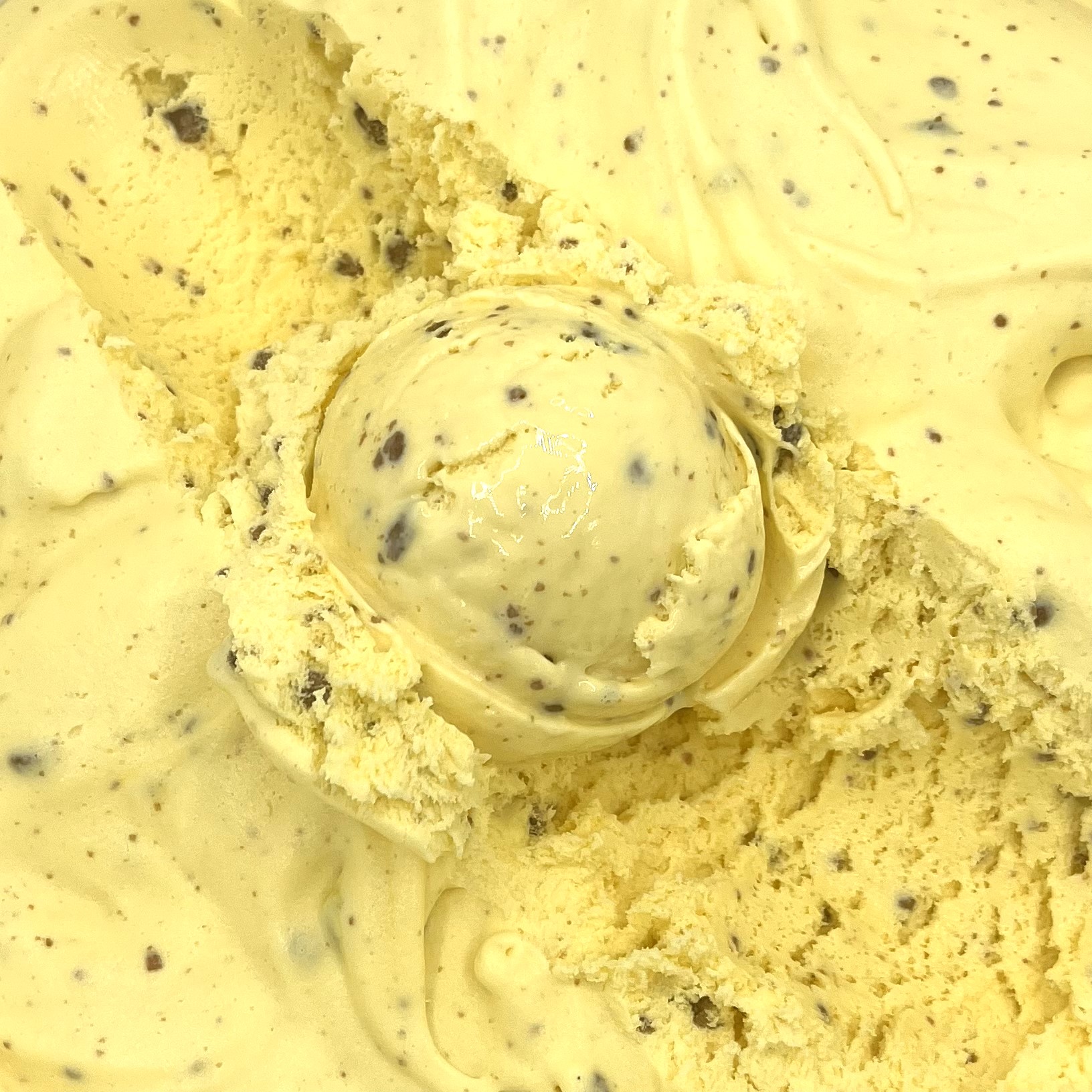 A scoop of Lemon Cheesecake Crumble ice cream