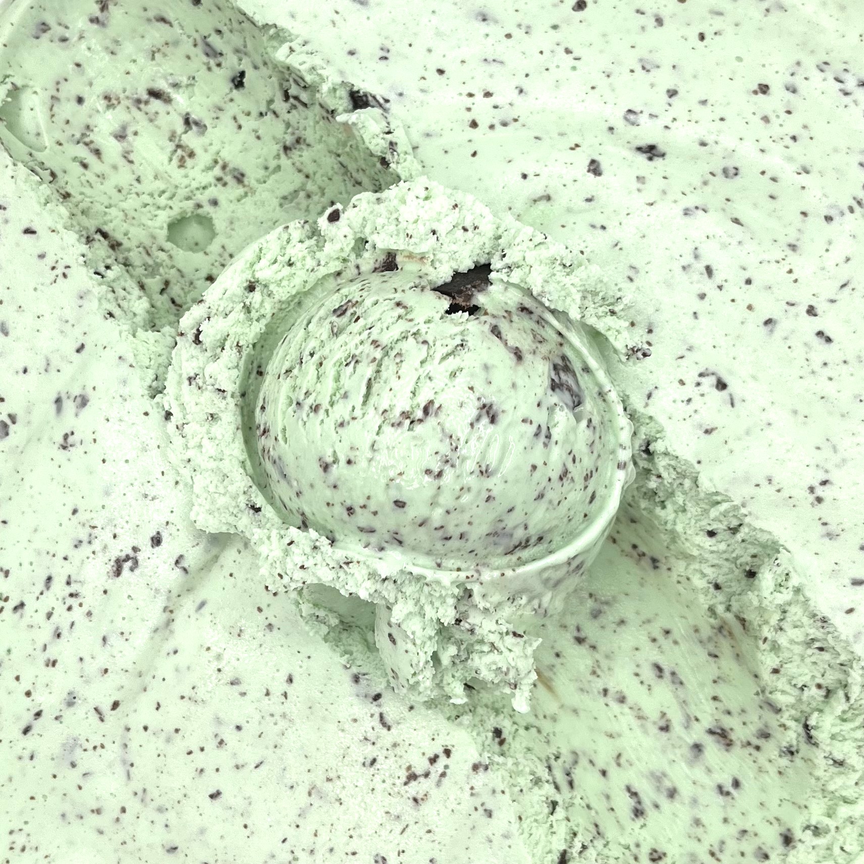 A scoop of Mint Chocolate Chunk ice cream